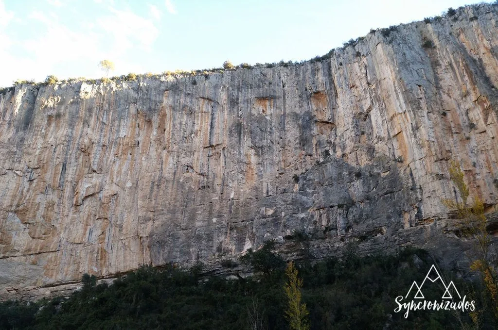 Escaladores